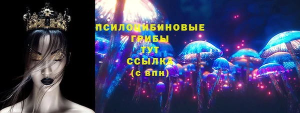 дмт Киреевск