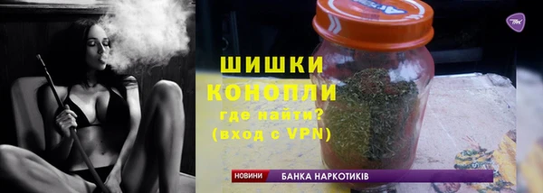 индика Козельск