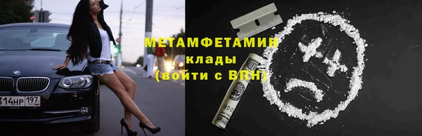 индика Козельск
