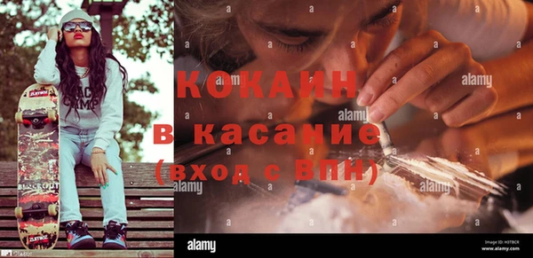 индика Козельск