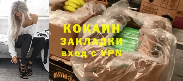 индика Козельск