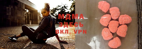индика Козельск