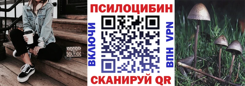 Купить  Данков  Галлюциногенные грибы ЛСД 
